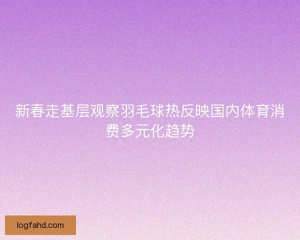 新春走基层观察羽毛球热反映国内体育消费多元化趋势