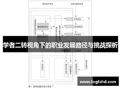 学者二转视角下的职业发展路径与挑战探析